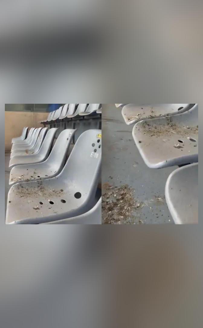 Pics of dirty seats at Wankhede during India Women's Test against Australia go viral