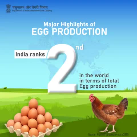 #DoYouKnow?

India secures the 2nd position worldwide in egg production. Our farmers' dedication and hard work continue to significantly better our performance on the global stage!