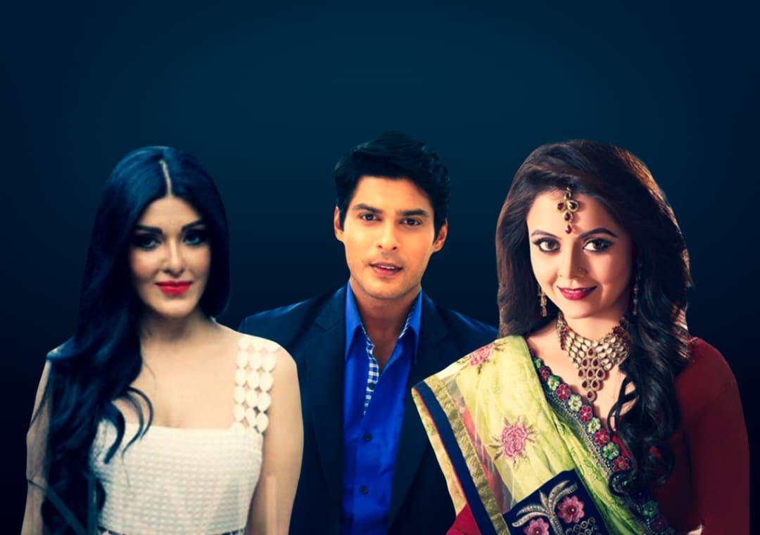 Who are the contestants expected to participate in Bigg Boss 13