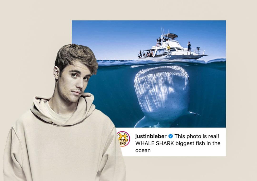 Bieber shares optical illusion pic of whale shark under boat