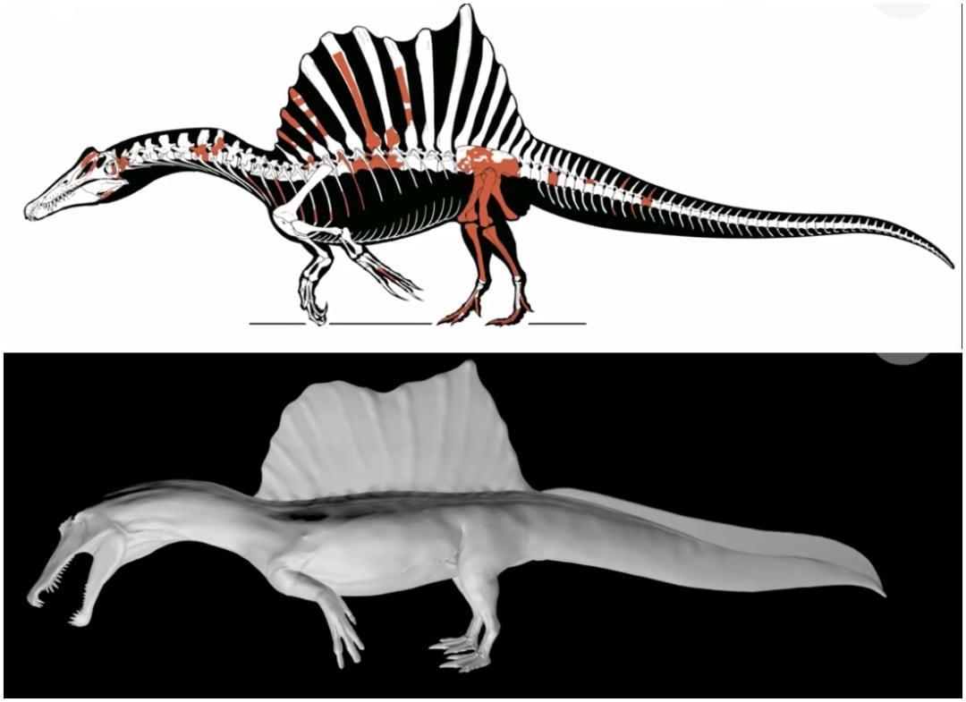 dinosaur that can fly swim and walk