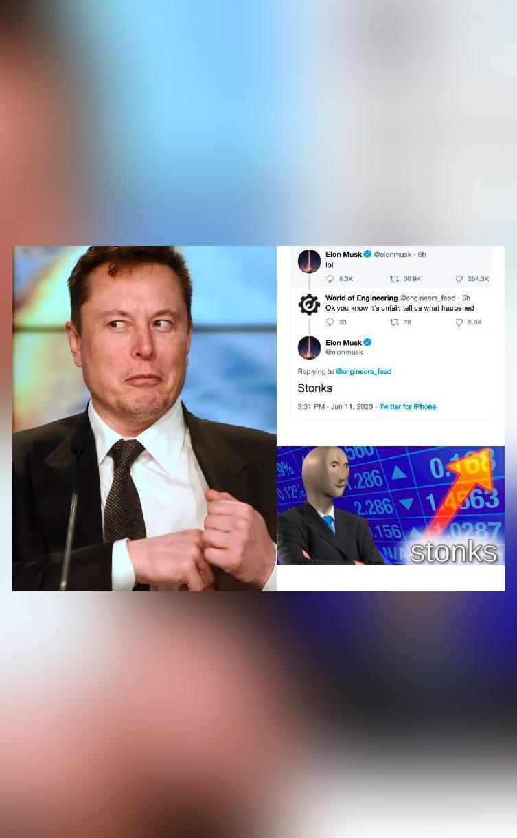 Musk tweets 'lol', shares 'stonks' meme after Tesla shares ...