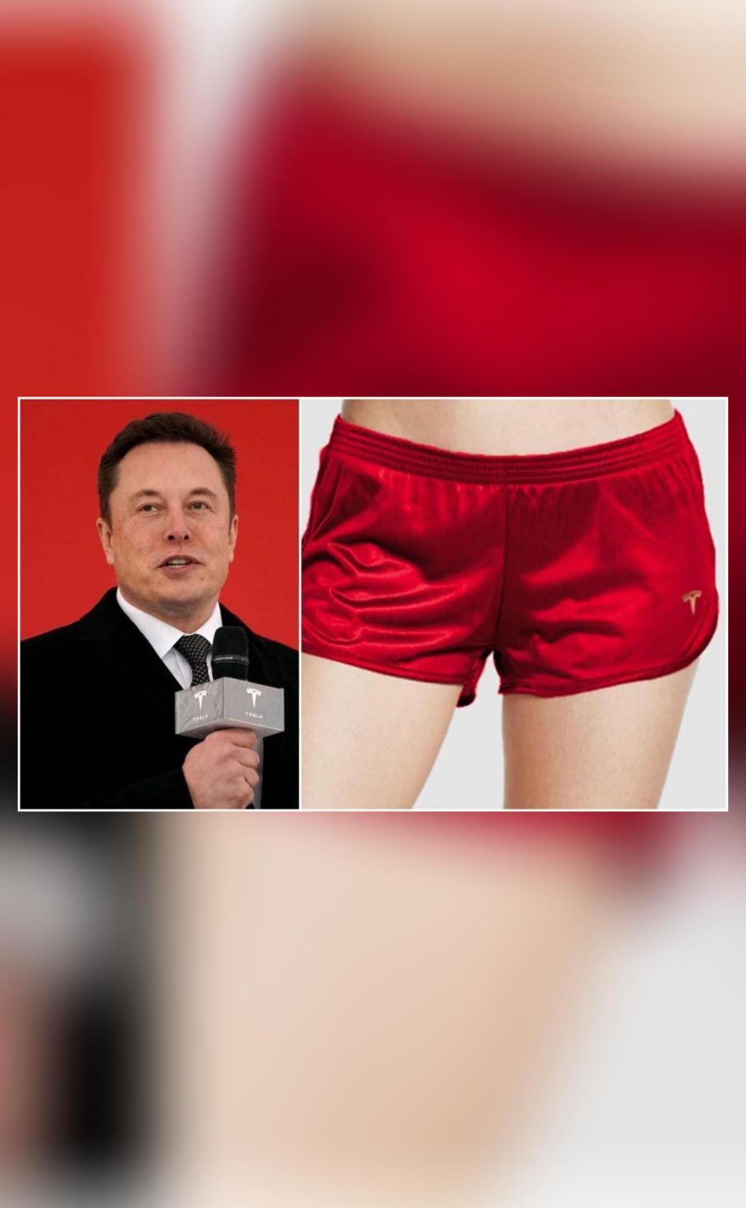 Elon Musk's Tesla sells 'short shorts' for $69.420 as a 'jibe' at short