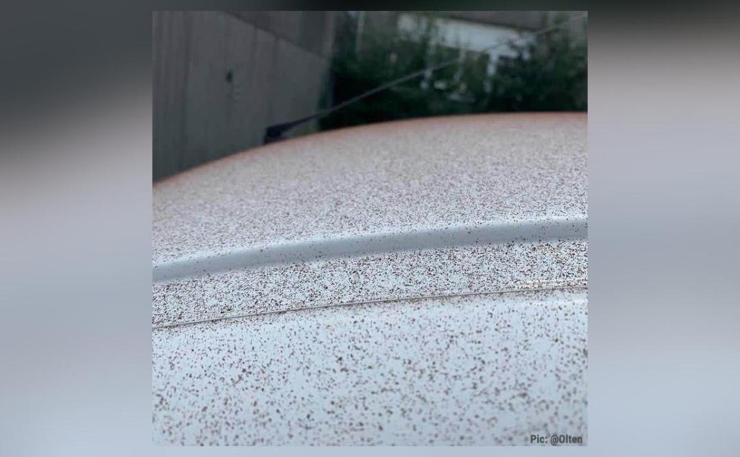 'Chocolate snow' falls on Swiss town after ventilation defect at Lindt