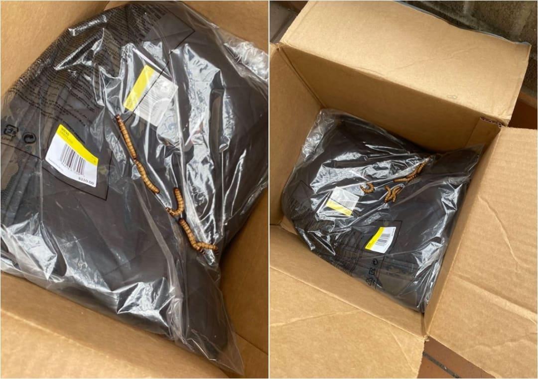 US man finds worms crawling on clothes in Nike delivery box, shares