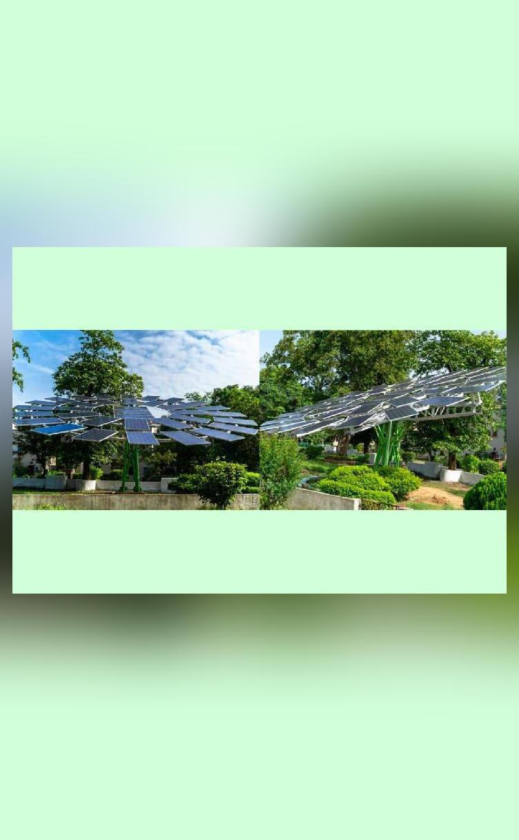 World's largest solar tree installed by CSIRCMERI in West Bengal; pics