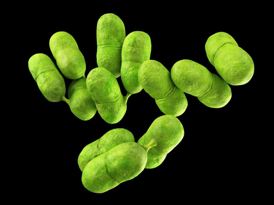 US warns of Listeria outbreak linked to deli meats after 10 people