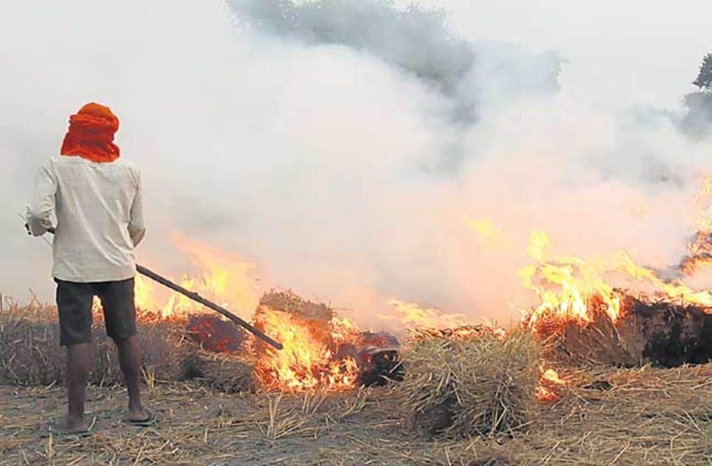 Stubble Burning Up 46 In Punjab Down 28 In Haryana This Year National News Inshorts 6561