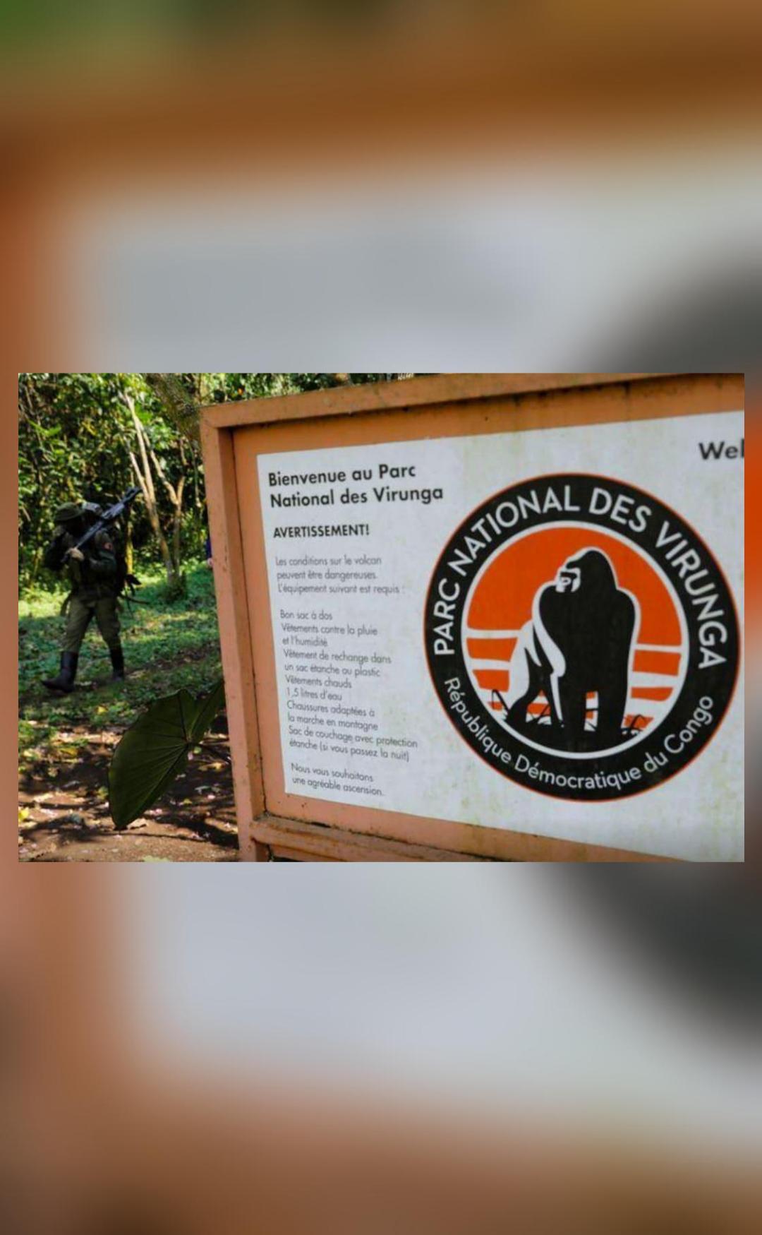 Armed men kill 6 rangers in Africa's oldest national park(02)