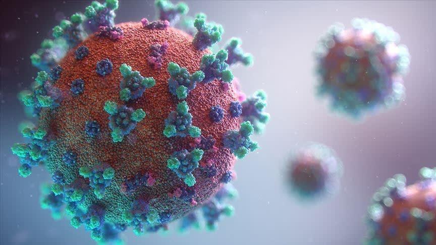 New coronavirus variant found in France | World News ... There are a few different ways to study a vocabulary list.