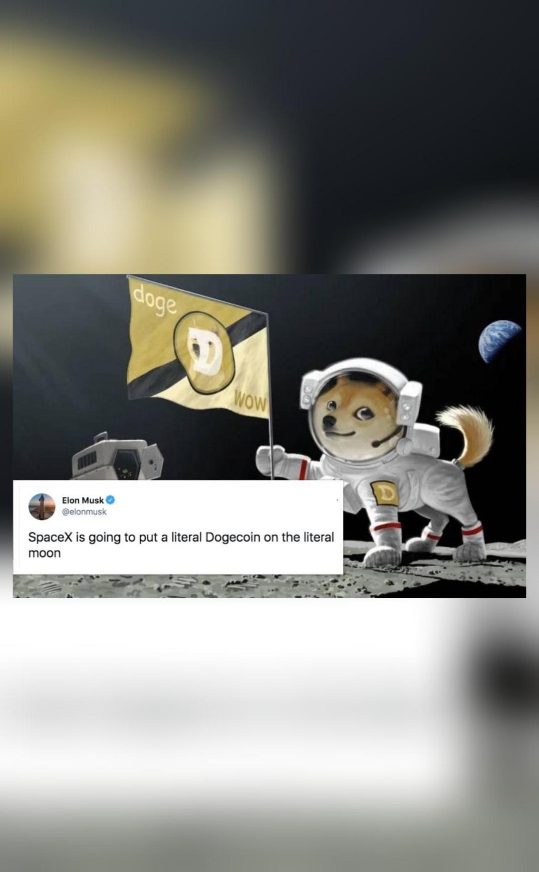 SpaceX will put a literal Dogecoin on the literal moon ...