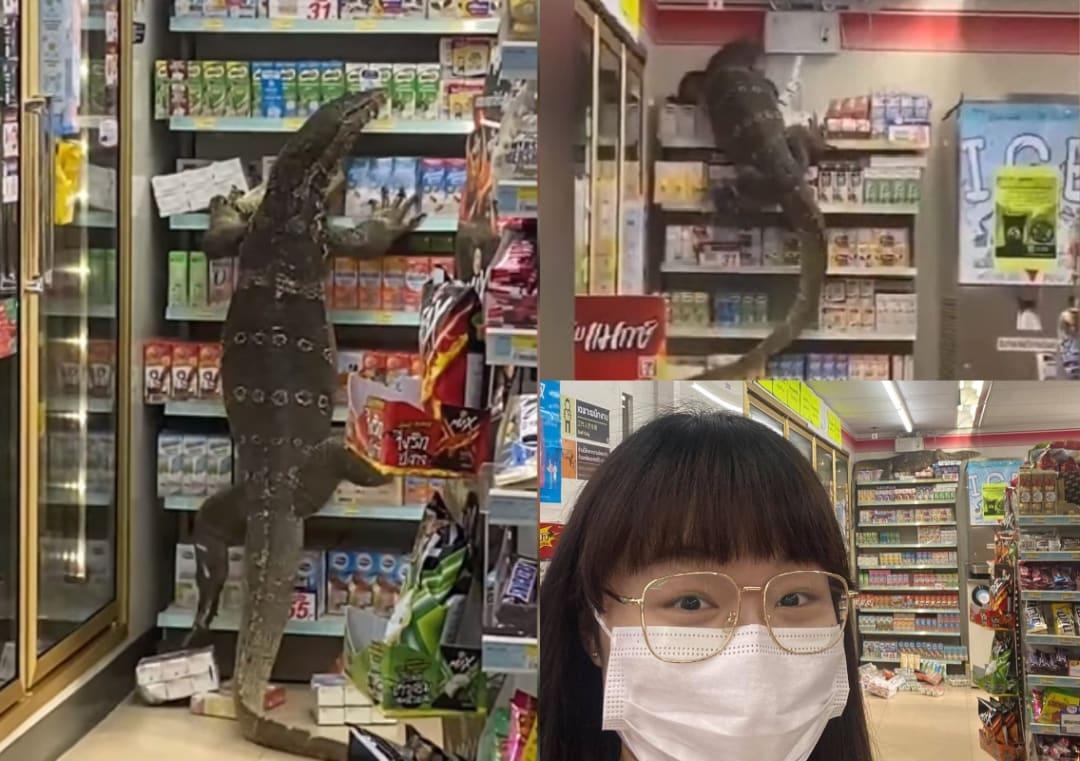 Giant Monitor Lizard Creates Chaos Inside Supermarket In Thailand