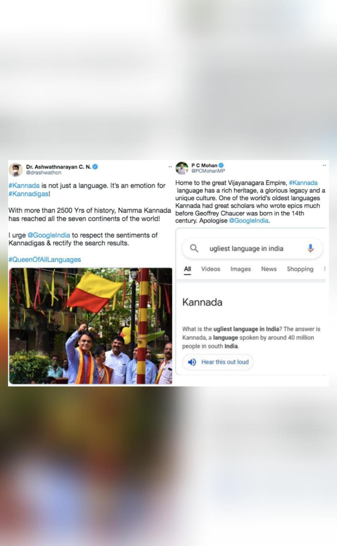 google-search-shows-kannada-as-ugliest-language-in-india-people