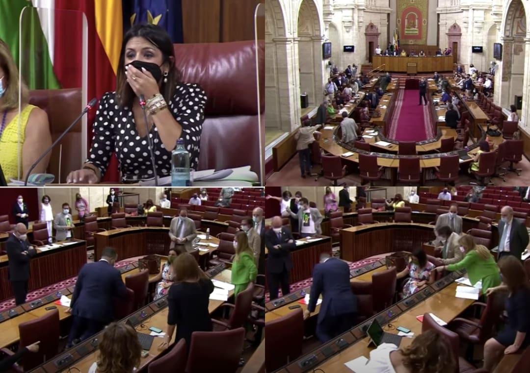 Lawmakers panic as rat interrupts regional parliament session in Spain,  video viral