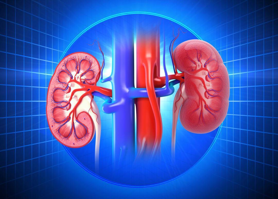 Chennai man has 5 kidneys, including damaged ones, after third renal