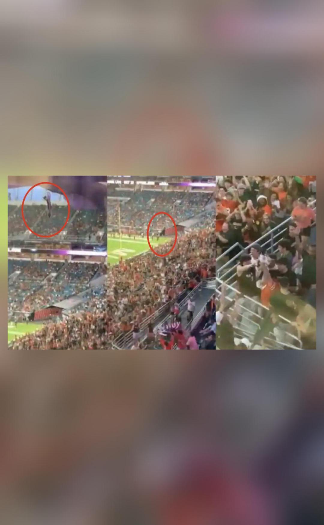 Football fans use US flag to catch cat falling from stadium's upper