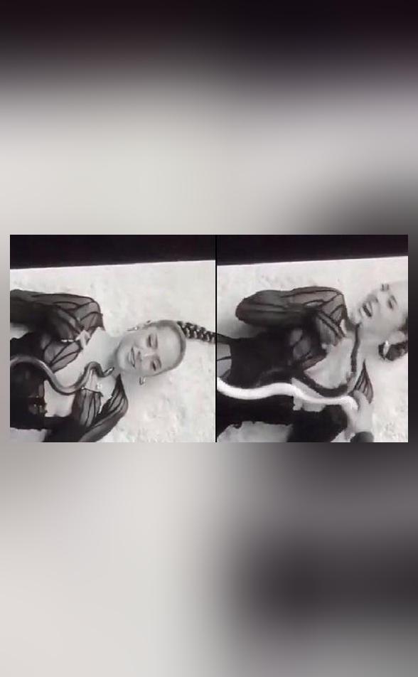 US singer bitten in her face by snake while shooting music video; video