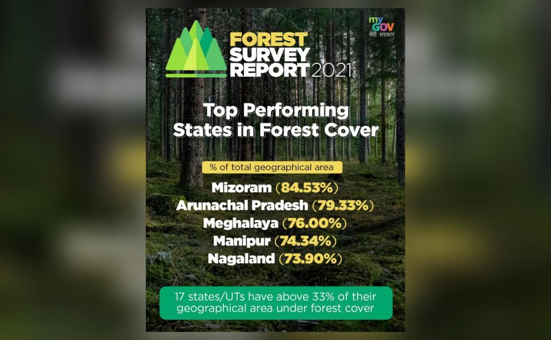 Which states have the largest forest cover in India as per latest govt
