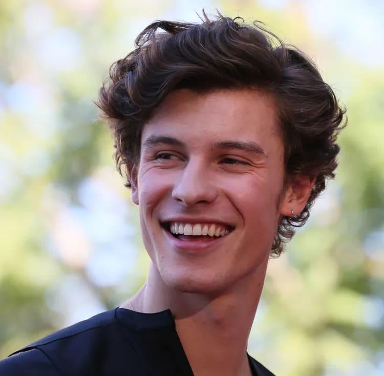 Shawn Mendes postpones UK, Europe tour dates due to pandemic