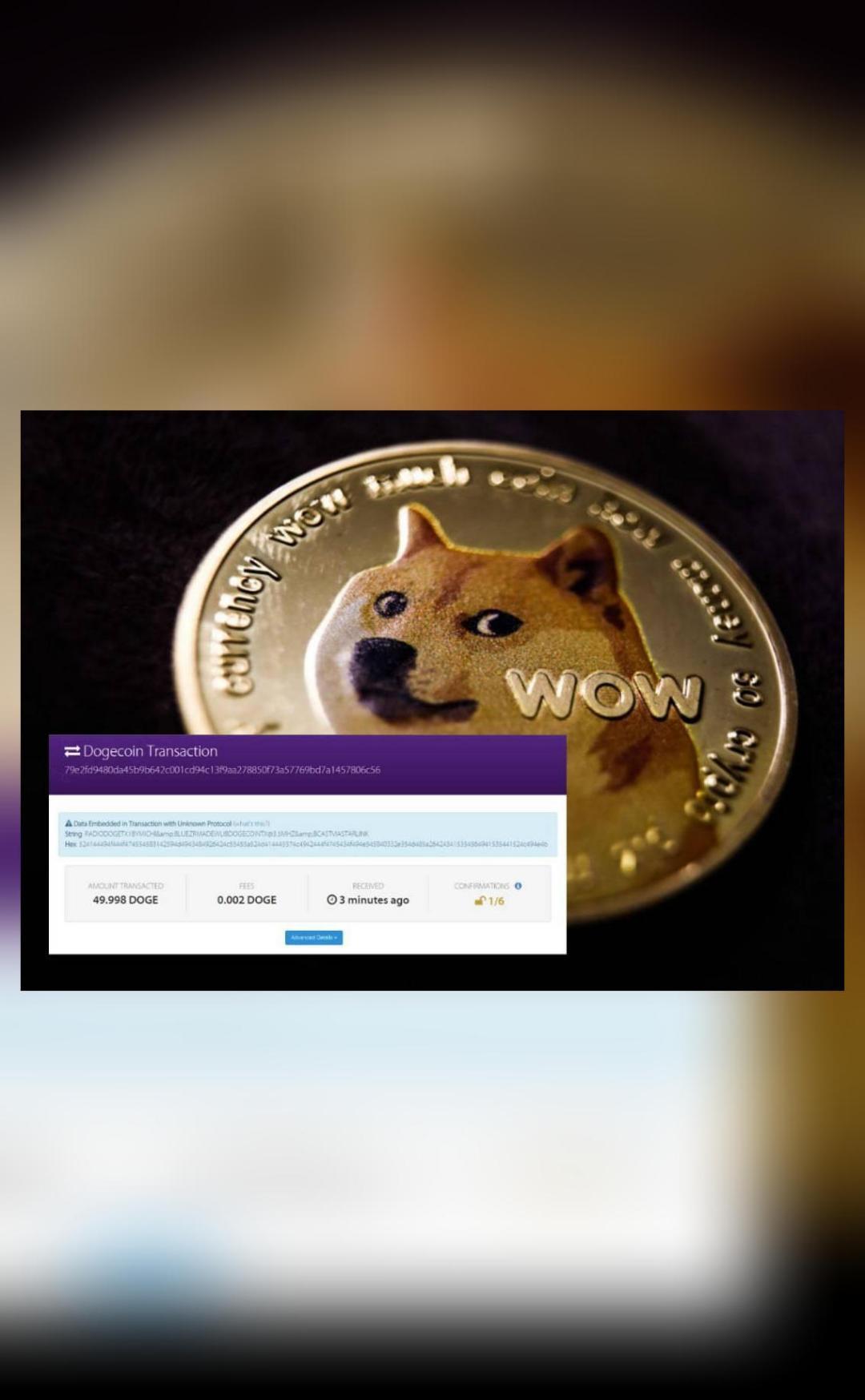 Dogecoin payment sent over 160 km without using internet for the first time