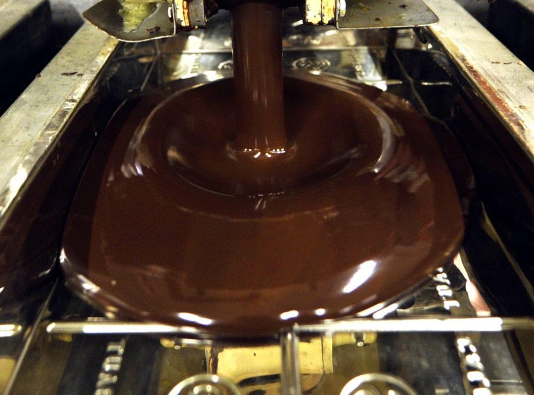 Salmonella Discovered In World s Largest Chocolate Factory In Belgium salmonella-discovered-in-world-s-largest-chocolate-factory-in-belgium
