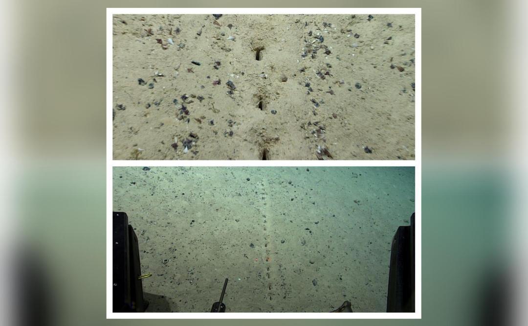 Pics show mysterious holes on Atlantic Ocean floor; scientists ask for