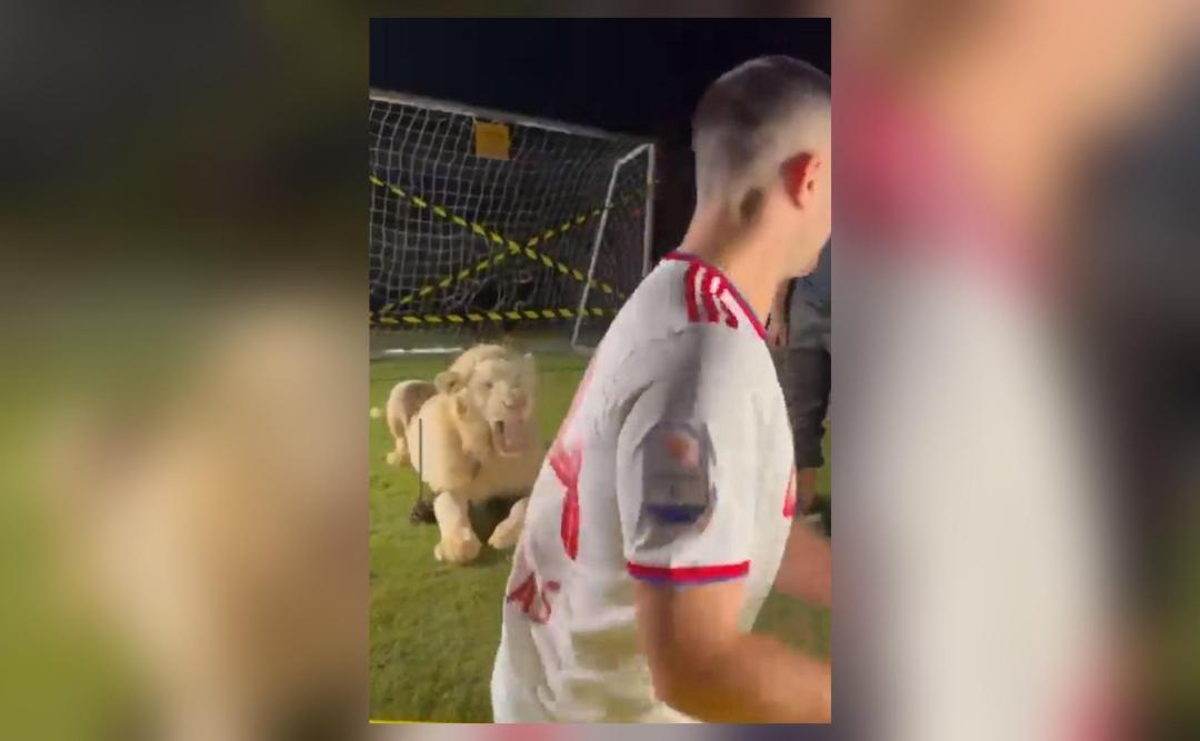 Footballer Manolas panics after lion roars at him during unveiling in