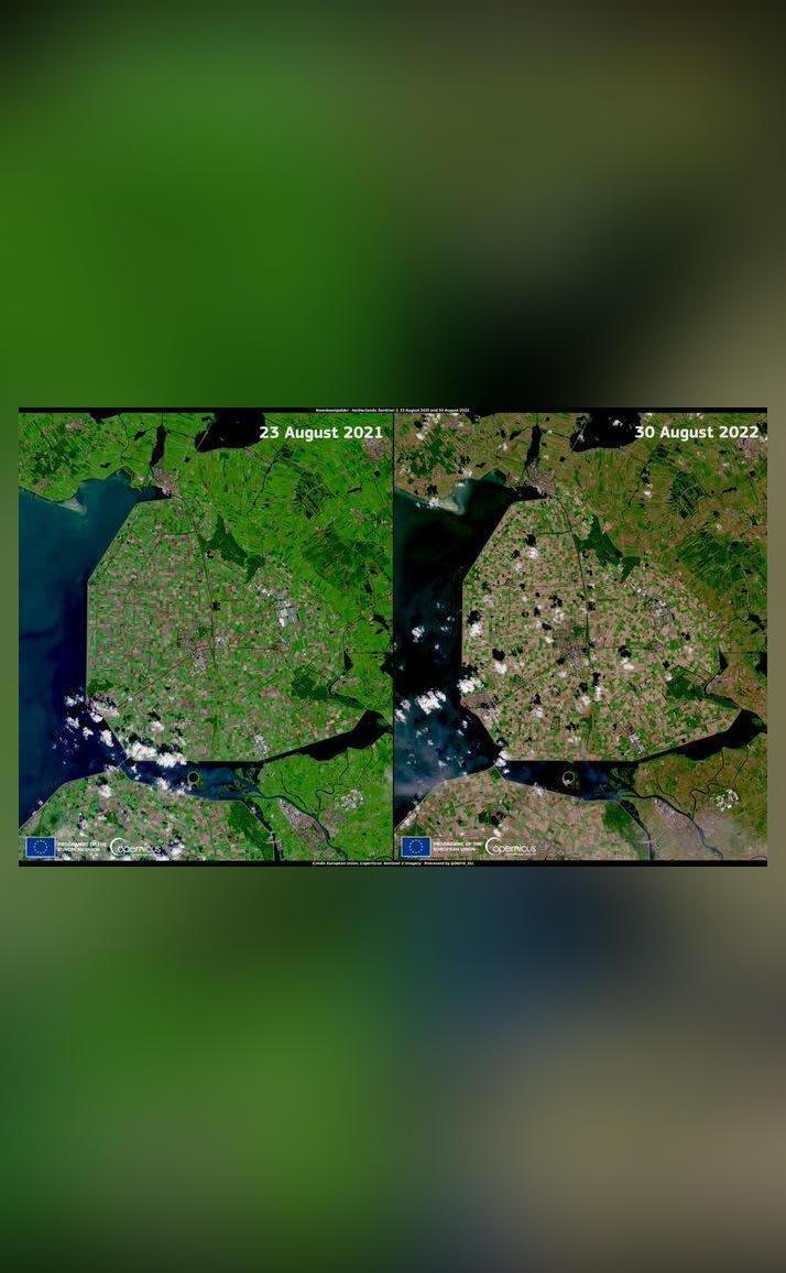 Before & after satellite pics show impact of Europe's worst drought in ...