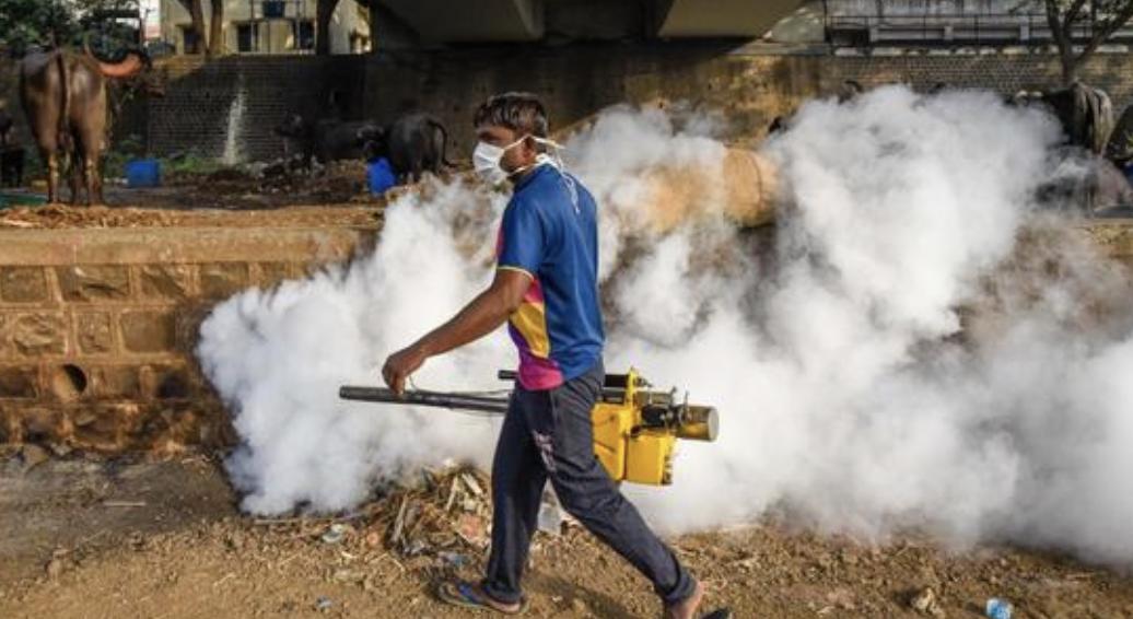Mumbai reports 61 cases of dengue in first 6 days of Nov, tally rises ...