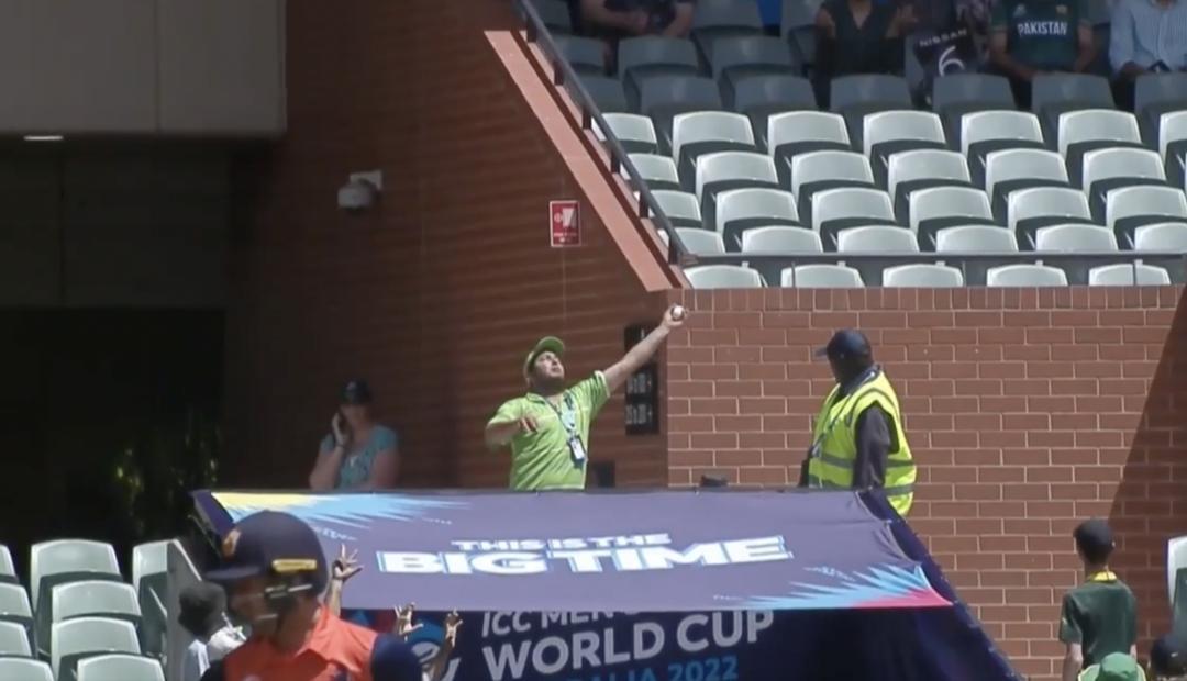 ICC shares video of man in crowd taking one-handed catch, says 'Catch ...