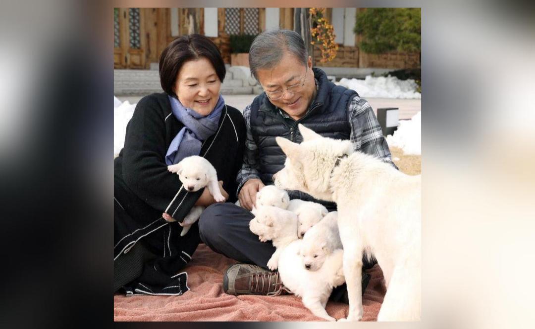 ExS Korean Prez to give up dogs gifted by N Korea's Kim Jongun