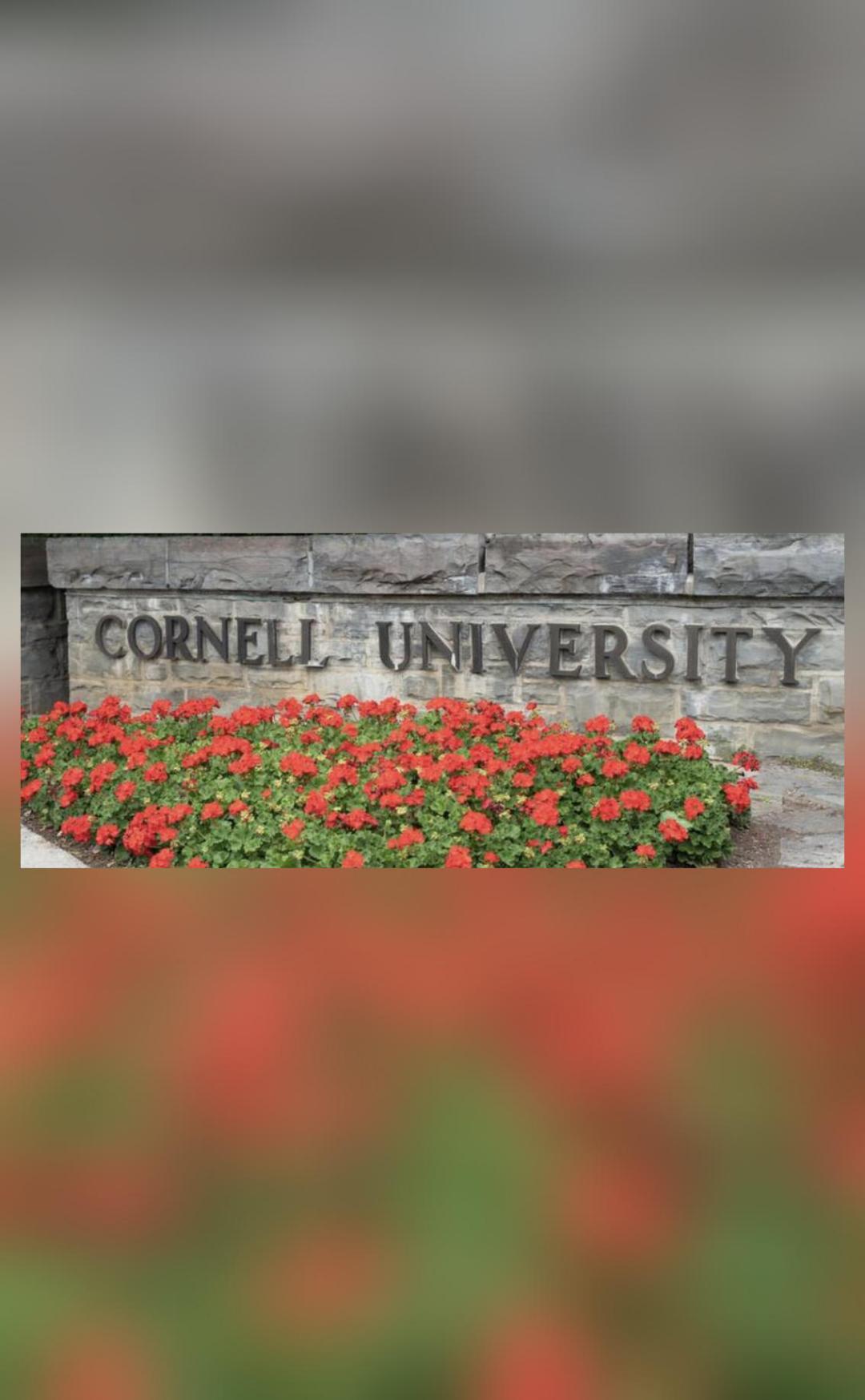 Cornell University suspends frat parties after reports of drugging