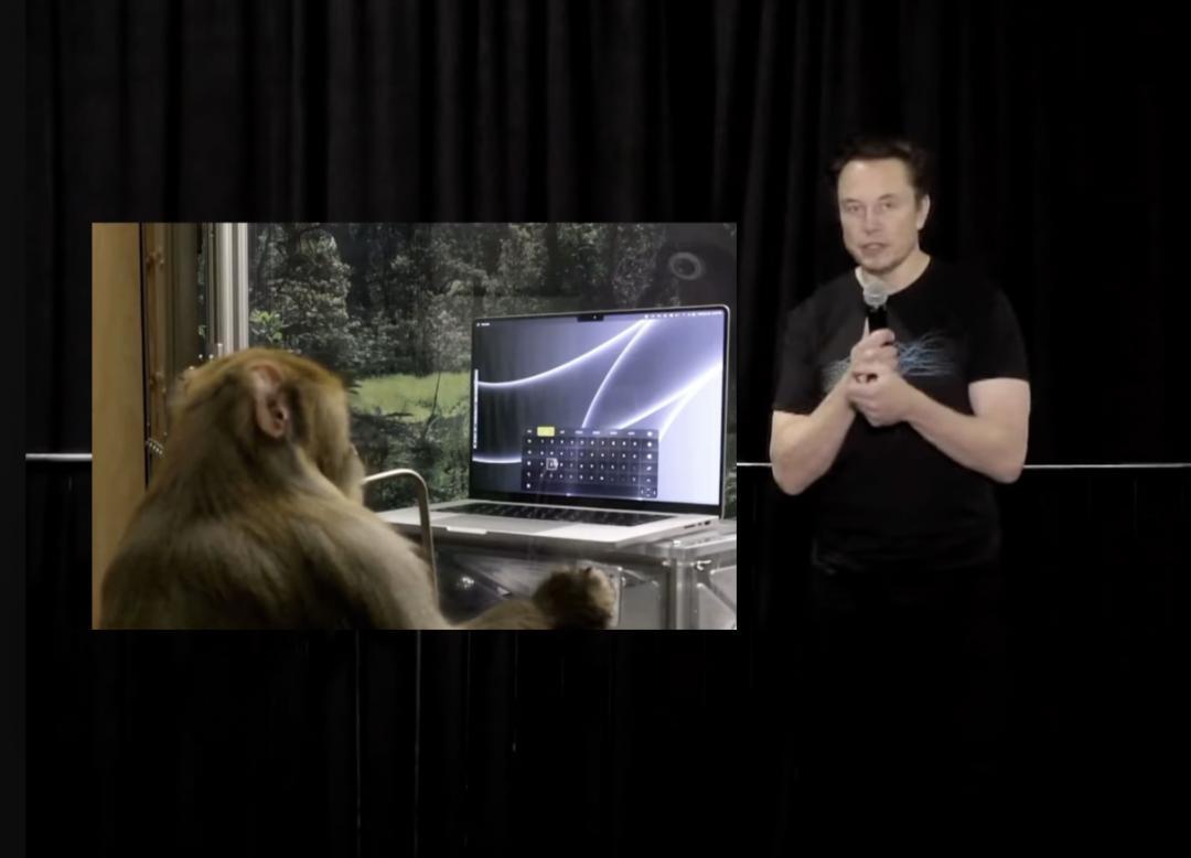 Musk shares video of monkey typing with its mind using Neuralink's