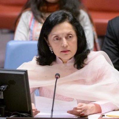 यूएनएससी में कई मौकों पर भारत अकेला खड़ा था लेकिन सिद्धांतों से समझौता नहीं  किया: कंबोज
