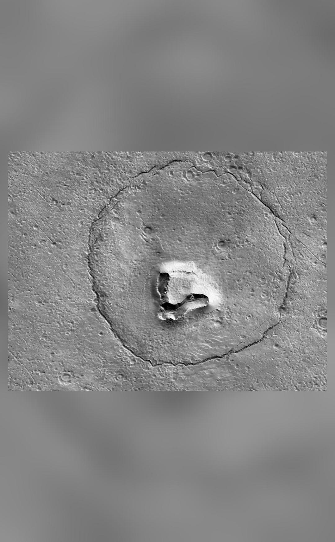 'Bear face' spotted on Mars; pic shared by NASA goes viral