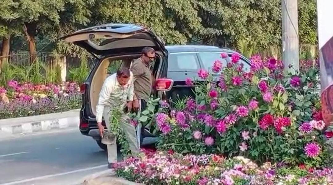 Gurugram deploys guards as flower pots stolen from G20 decoration