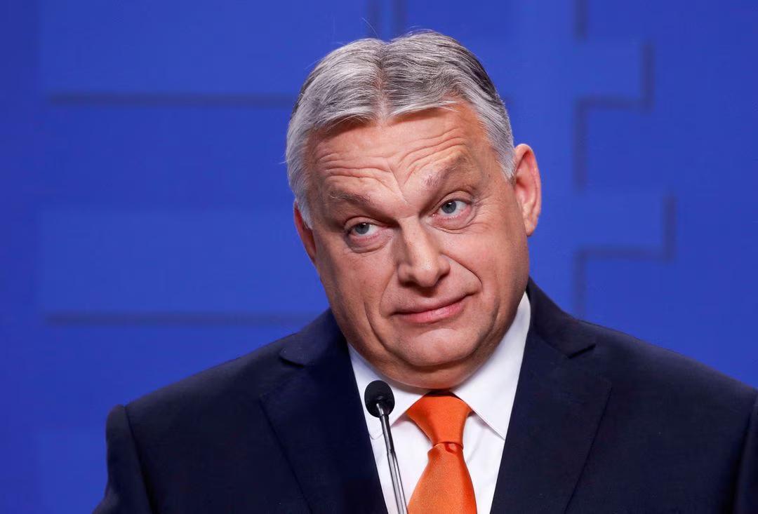 ‘What?’: Orban tweets as NATO promises to make Ukraine a member | World