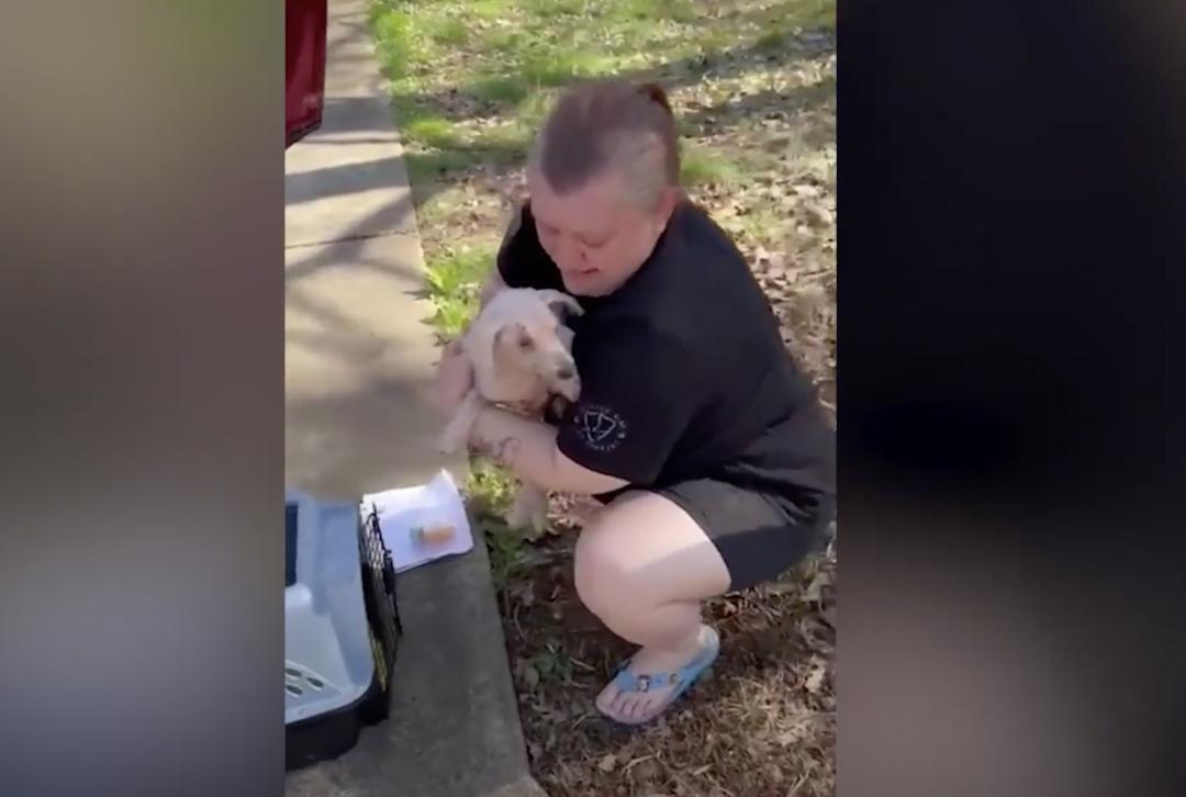Video shows dog missing for 3 years reuniting with owner in US
