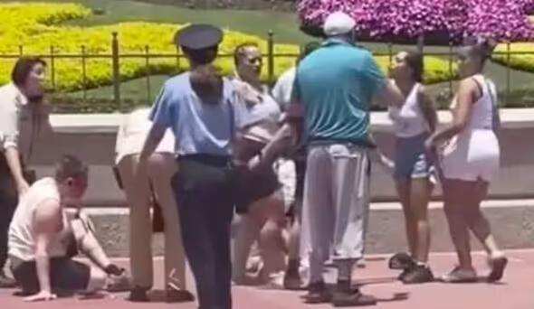 Video shows people punching each other as fight breaks out at Walt ...