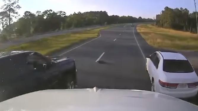 Us Driver Stops To Let Turtle Cross Road Causes Multi Car Crash