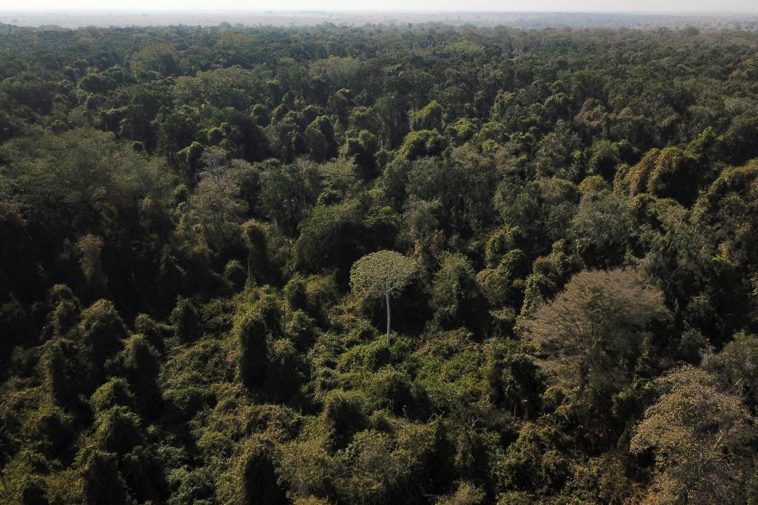 Bengaluru startup buying lands near forests to save environment