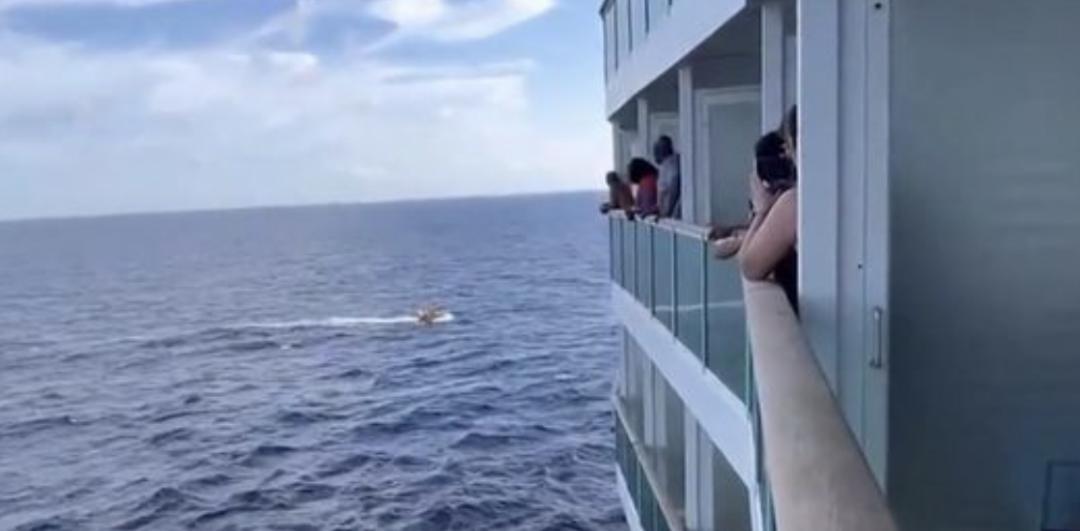 US woman falls overboard from 10th deck of cruise ship, rescued(02)