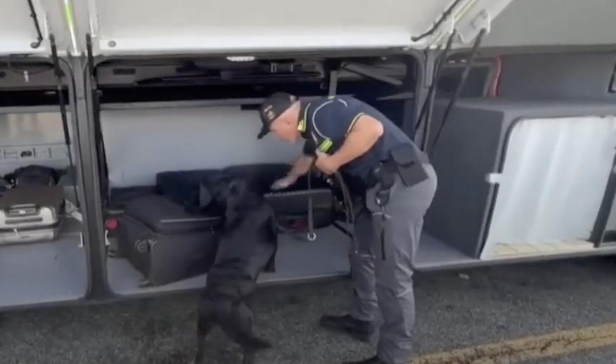 Italian police dog sniffs out €1 million in cash hidden in luggage