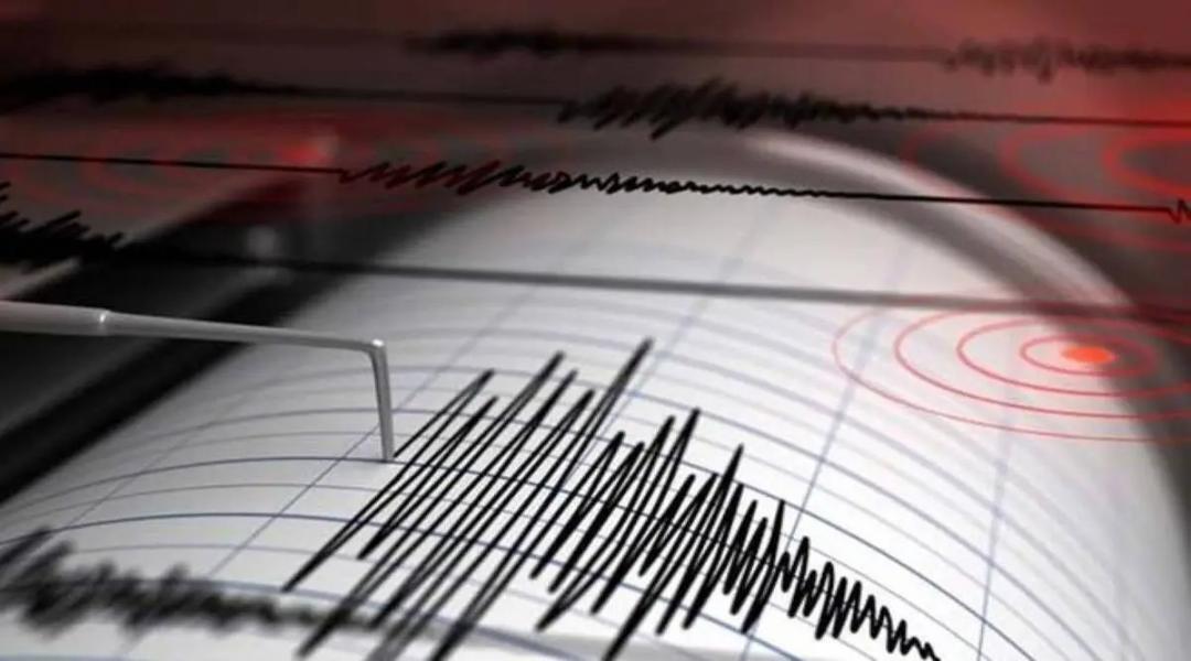 After Turkey, Dutch expert predicts 'stronger' earthquake in Pak - Vimarsana News