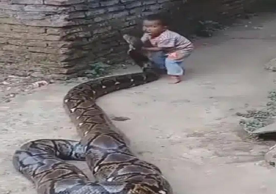 img_1703572696718_475.jpg?