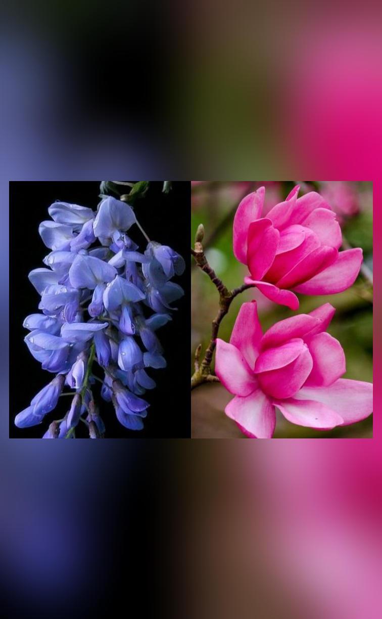 img_1701528906791_208.jpg?