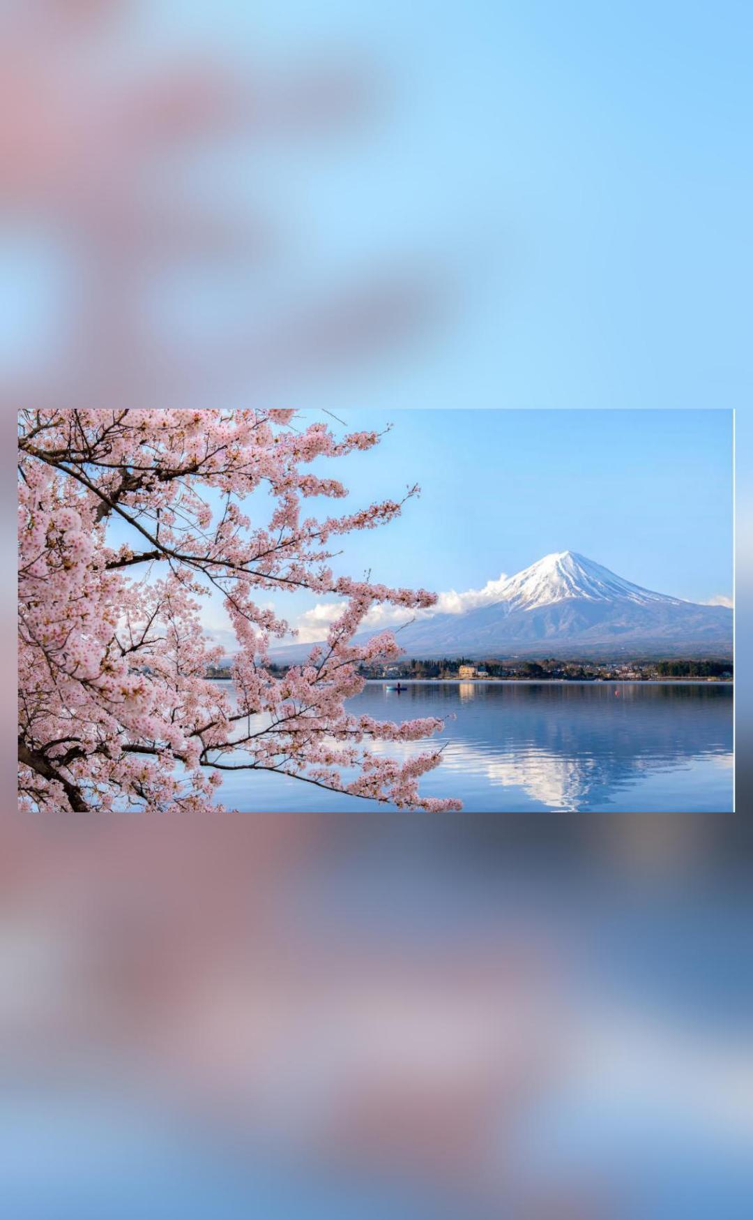 img_1705145332185_688.jpg?