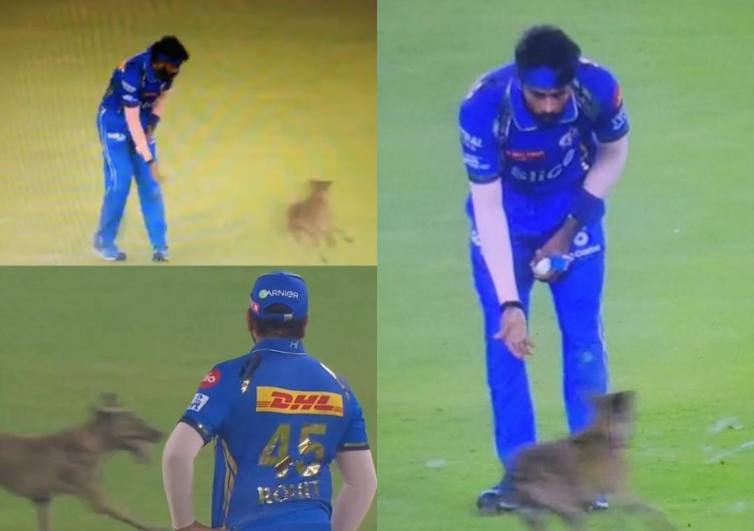 img_1711294858929_725.jpg?