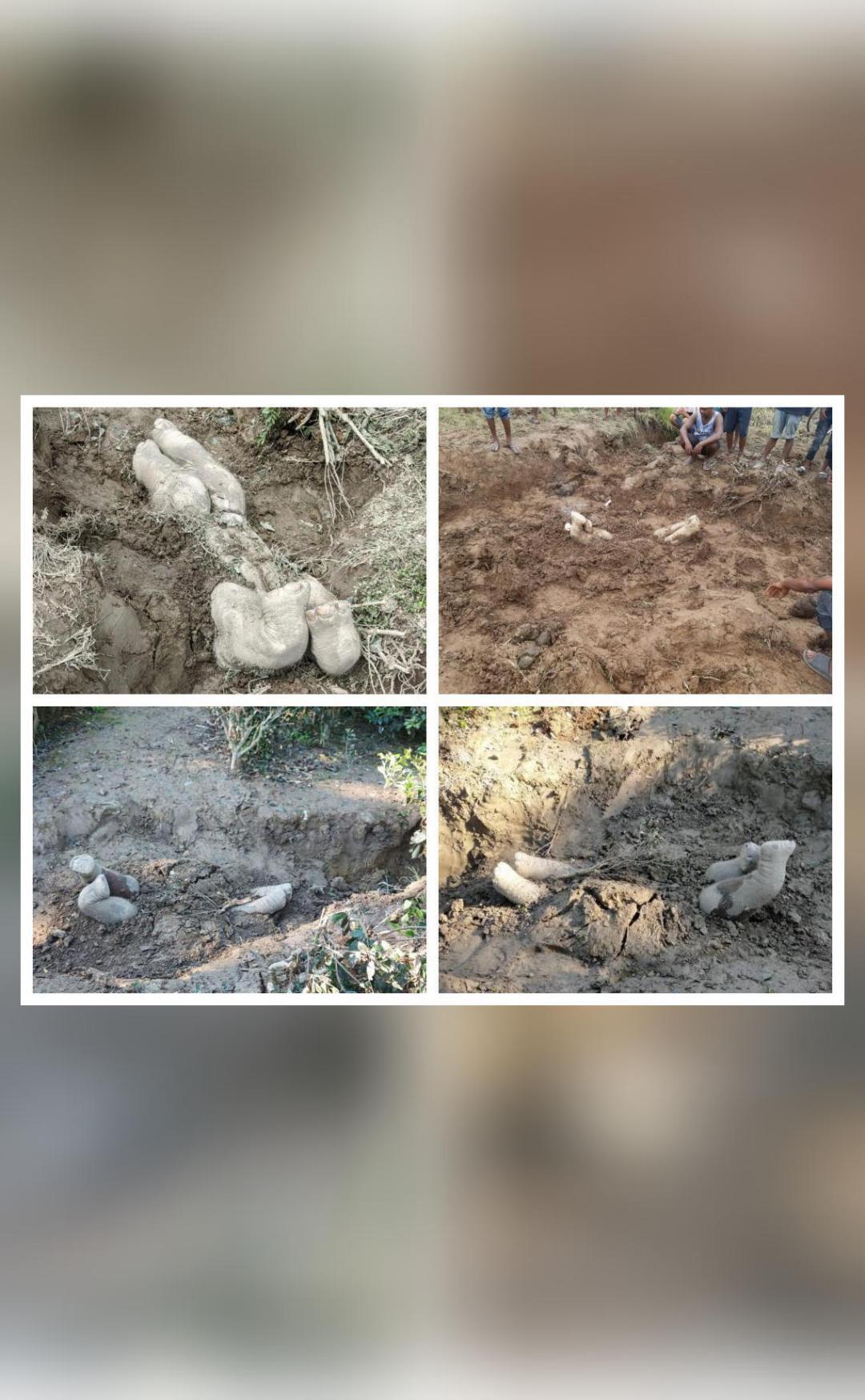 img_1709376815314_310.jpg?