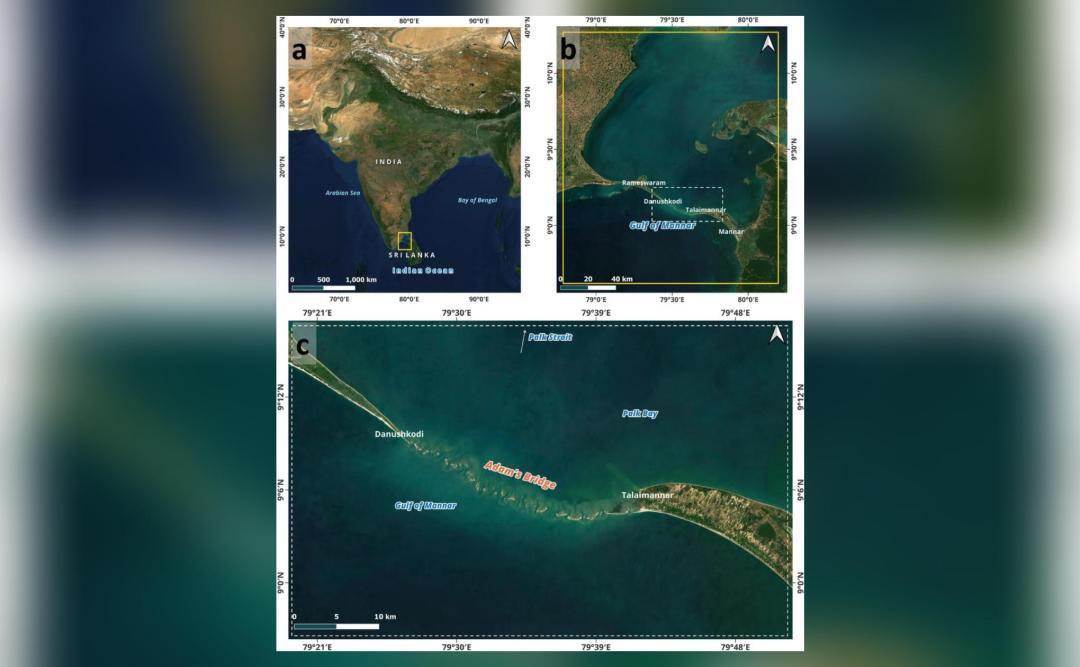 img_1720525294814_973.jpg?